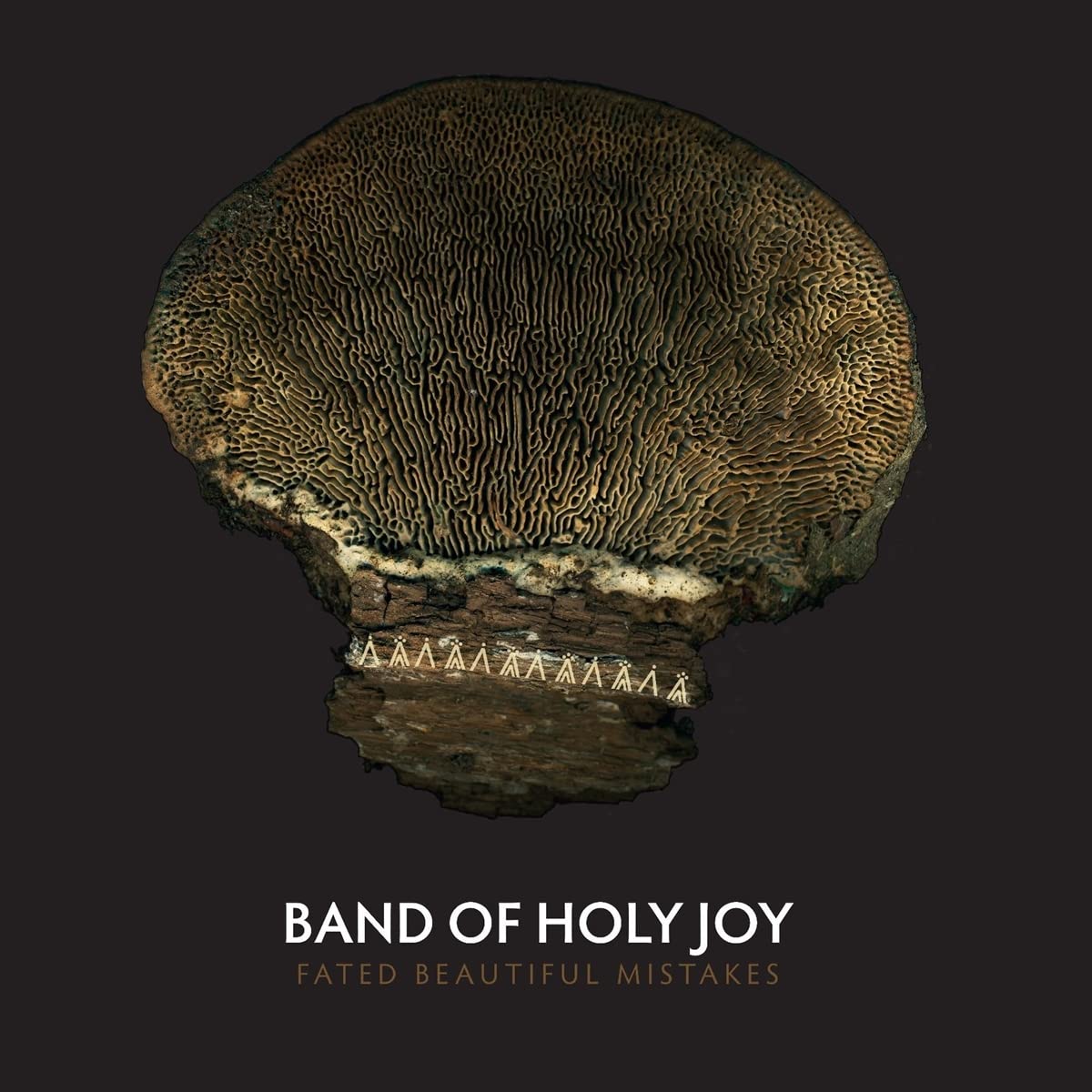Band of Holy Joy Fated Beautiful Mistakes LP Vinyl NEW