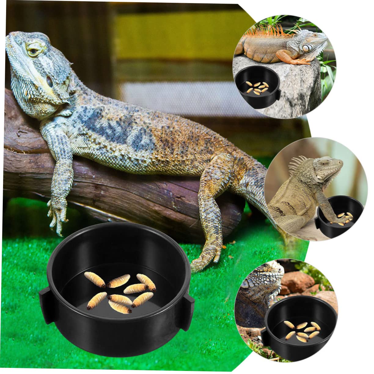 VICASKY 4Pcs Reptile Water Dish Durable Feeding Bowls for Bearded Dragons Lizards and Pets Easy to Clean Compact Design for Terrarium Use