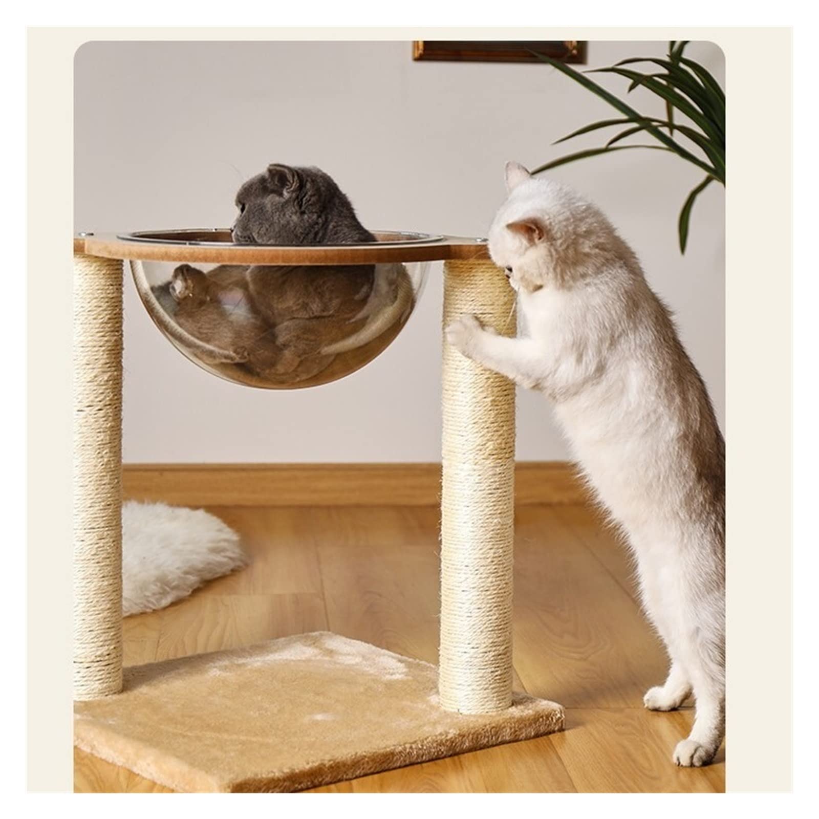 Albero da arrampicata per gatti Cat Climbing Frame Capsula spaziale Lettiera for gatti Tiragraffi for gatti Verticale Un giocattolo for animali domestici multifunzionale Tiragraffi, torre per gatti