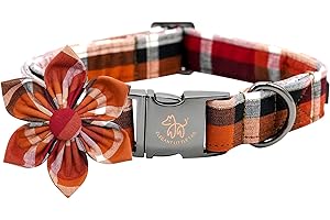 Elegant Little Tail Christmas Dog Collar
