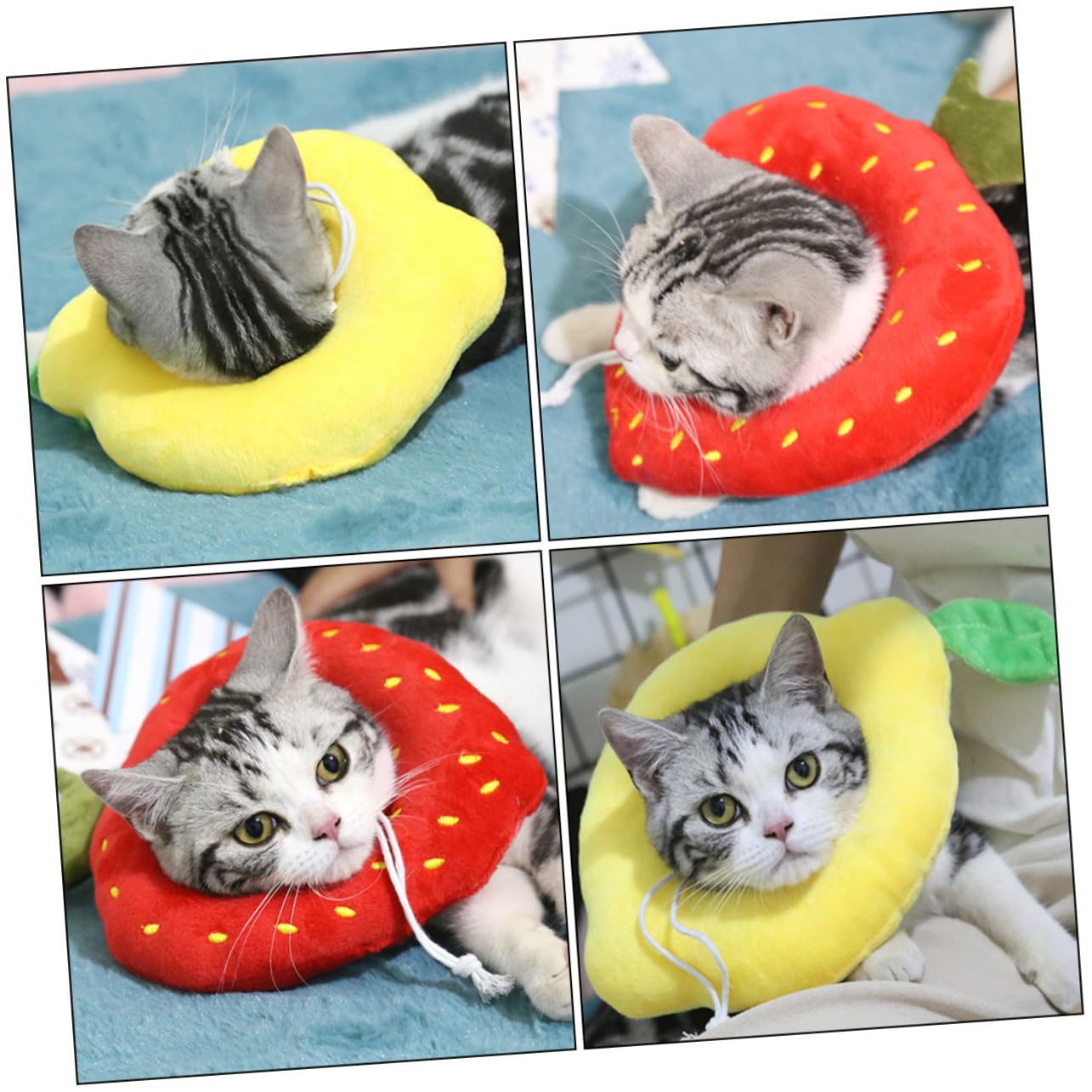 VANZACK 6pezzi Collare Protettivo Regolabile Per Gatti e Cani Cono Per Post-operazione Design Sicuro