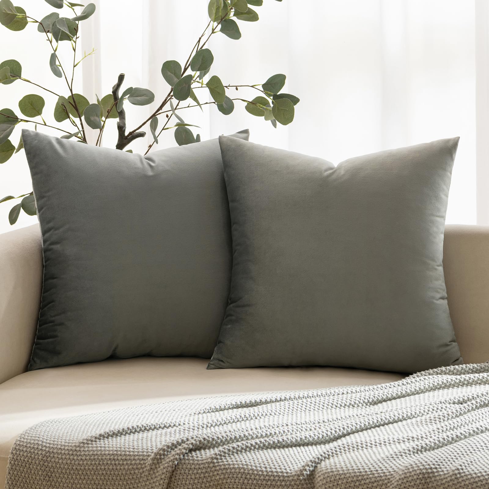 ANRODUO Pack of 2 Velvet Light Grey Throw Pillow Covers Decorative Pillow Covers Euro Cushion Case Soft Solid Square Cozy Modern Home Decorations Pillowcase for Sofa Couch Bed Room Decor 20x20 Inch