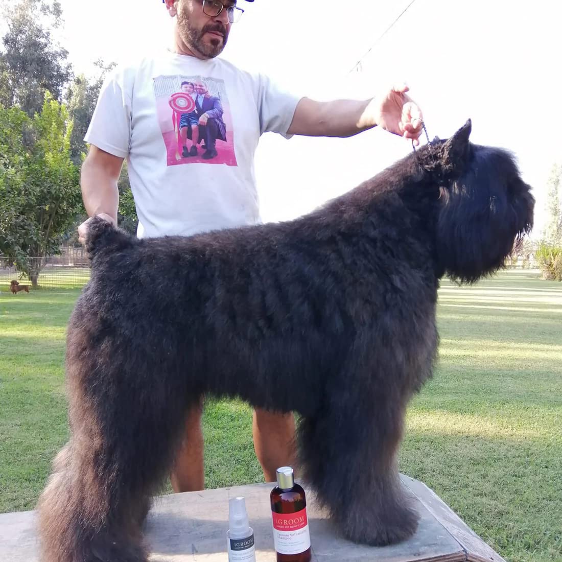 iGroom Vavoom Volumiser Shampoo Helps Restore the Coat's Body and Shine, 3.8L