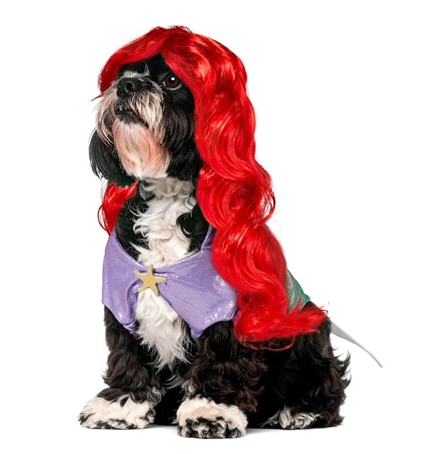 Foto 3 de 7 de Pet Fancy Dress Costume Ariel Large