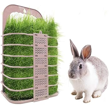 hanging rabbit feeder
