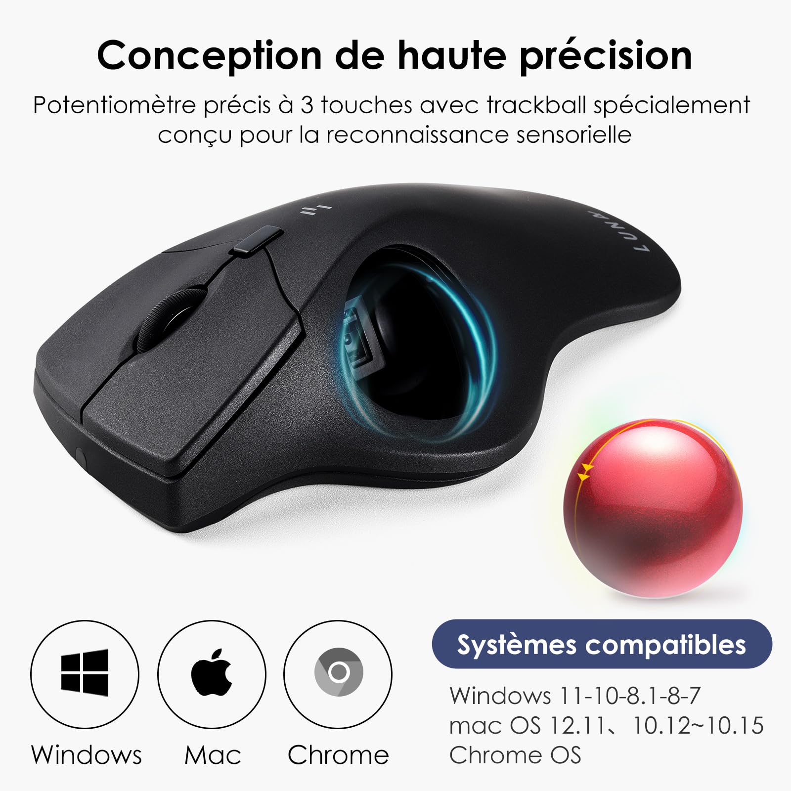 SANWA Souris Trackball Filaire, Boutons Silencieux Programmables, Contrôle du Pouce, 600/800/1200/1600 DPI, Suivi précis et Fluide, Compatible avec Mac, Laptop, Ordinateur, Windows, Noir