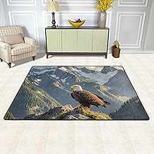 Area Rugs for Living Room 36X24 inch Non-Slip Doormat Low Profile Floor Mats Eagle Mountains Area Rug Entrance Mat Machine Washable Carpet for Bedroom Dining Room Office Home Decor