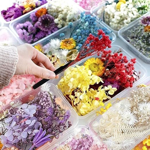 Dried Flowers for Resin Jewelry molds with Tweezers, Real