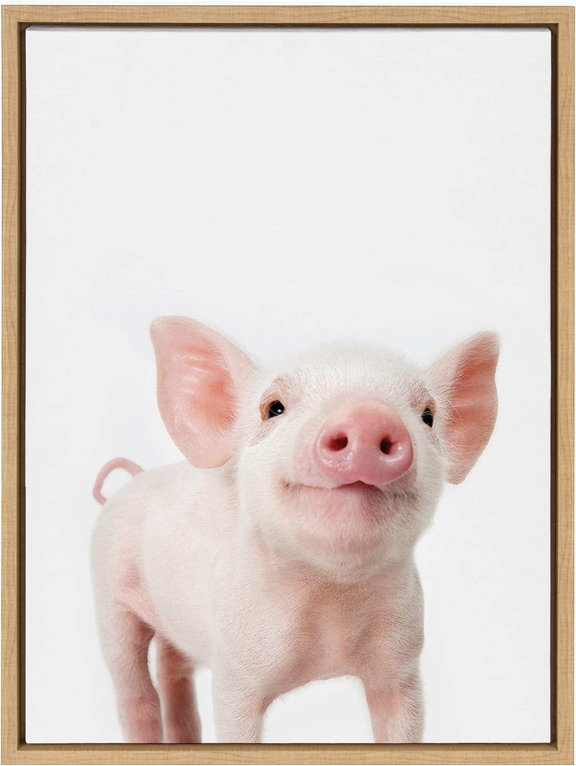 Kate and Laurel Sylvie Animal Studio Piglet Framed Canvas Wall Art by Amy Peterson Art Studio; 18x24 Natural; Whimsical Fun Animal Nursery Art for Wall