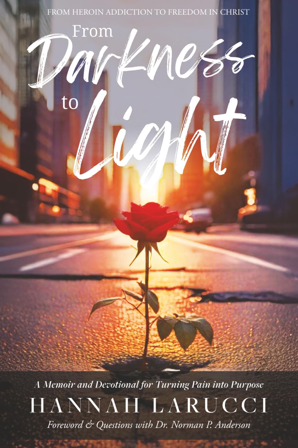 From Darkness to Light: A Memoir and Devotional for Turning Pain into Purpose