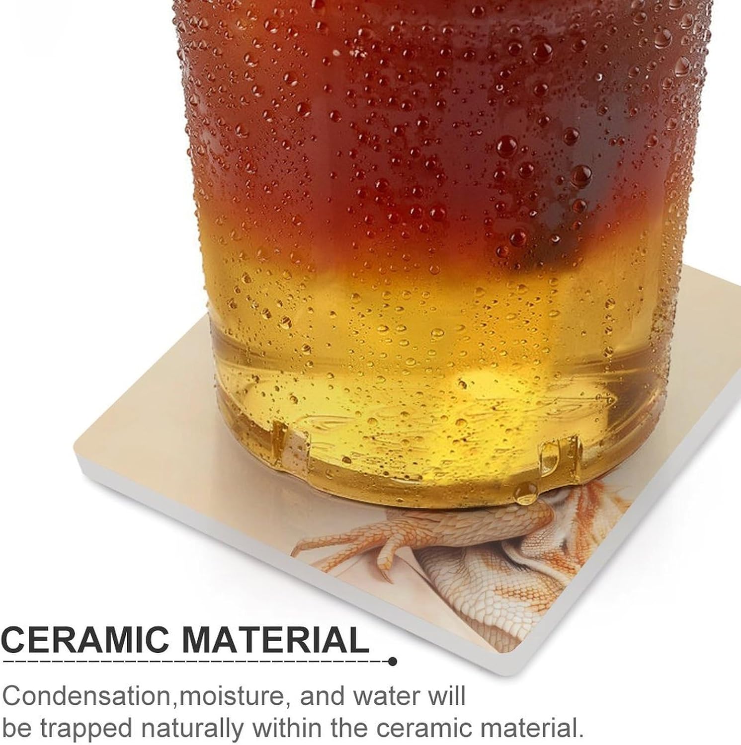 Horned Lizard Funny Ceramic Coasters for Drinks Absorbent Cup Holder Tabletop Protector with Cork Base