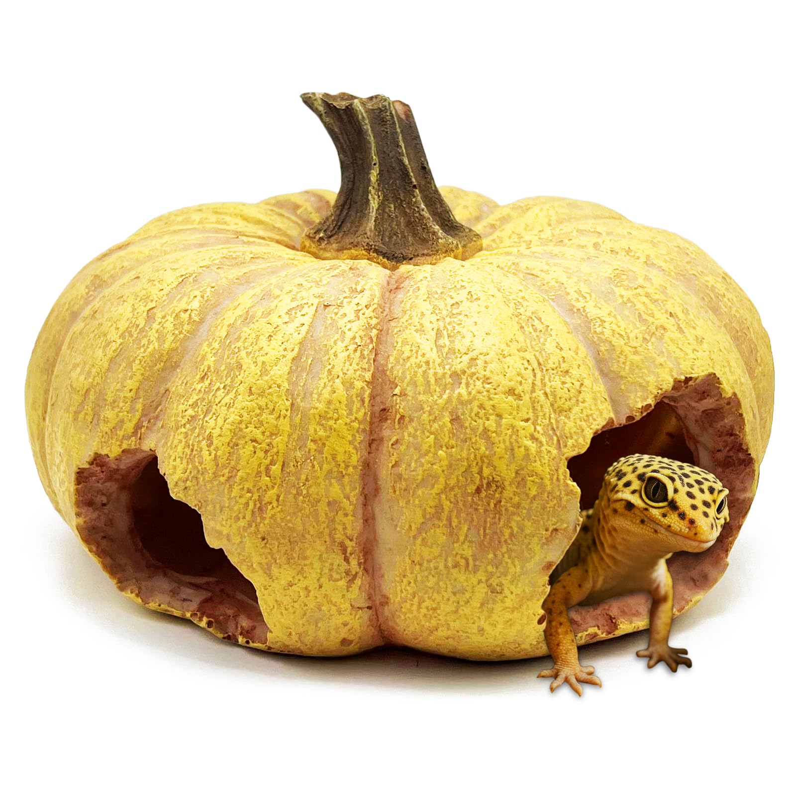 Cachette citrouille pour gecko et lézard - Décoration terrarium reptile