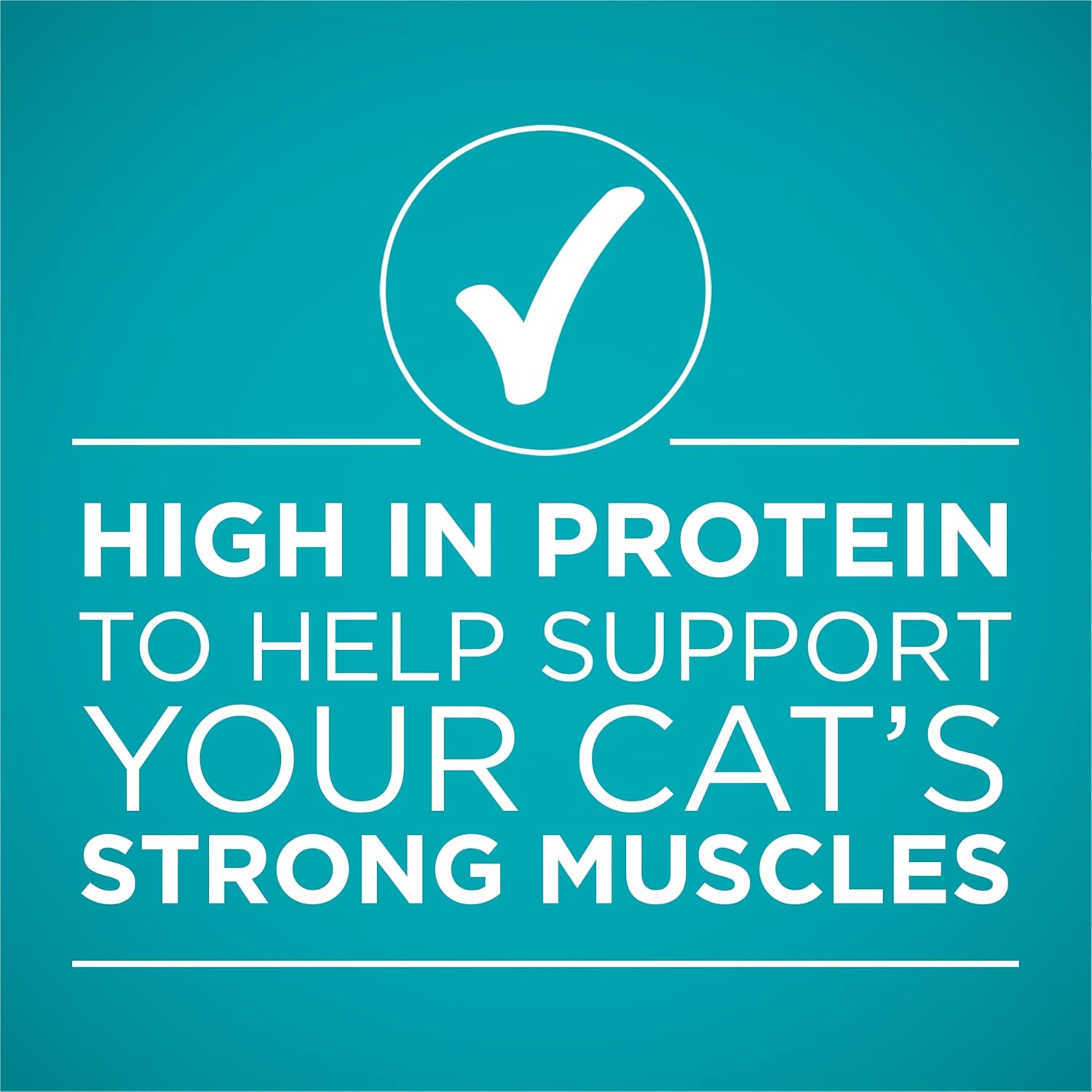 Purina ONE Natural Weight Control Wet Cat Food, Ideal Weight White Meat Chicken Recipe in Sauce - (Pack of 24) 3 oz. Pull-Top Cans