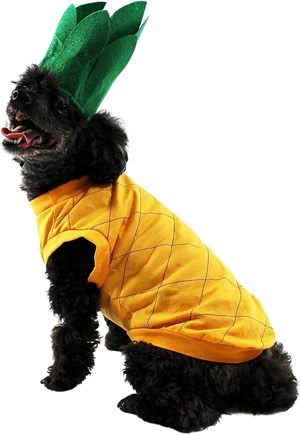 Disfraz de Piña para Perro Midlee Talla S