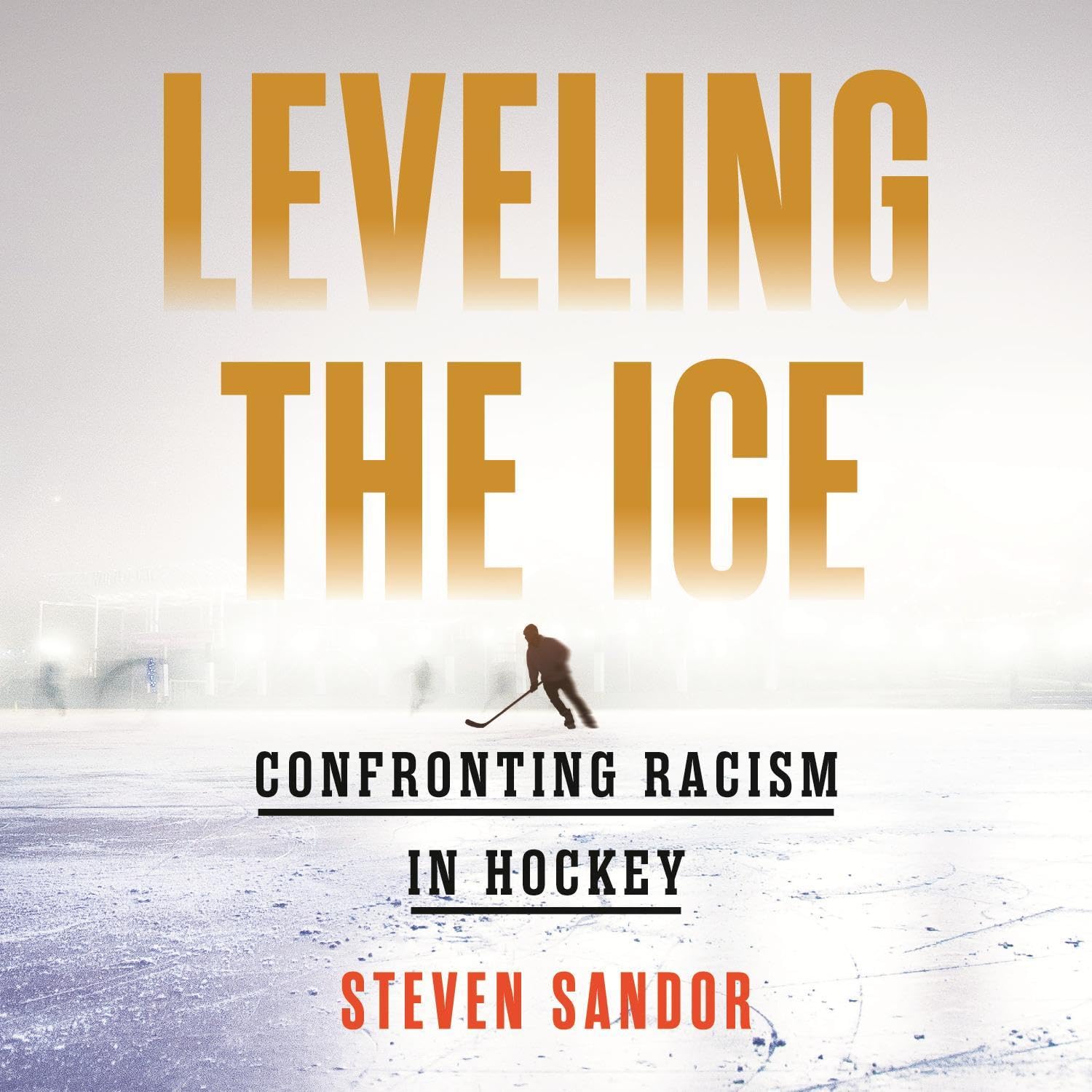 Confronting Racism in Hockey