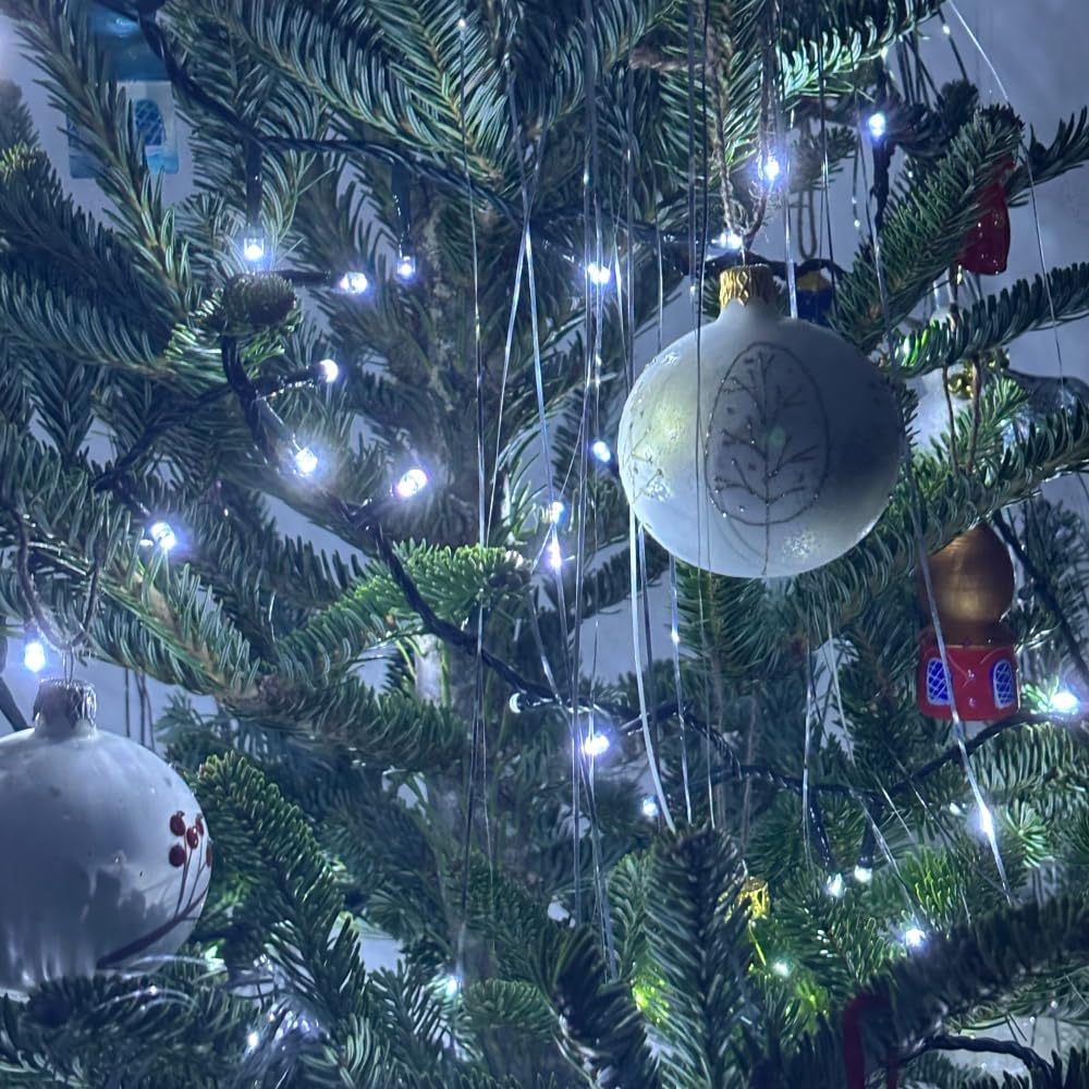 Guirlande de Noël lumineuse extérieure clignotante 34m, 750 LED blanc pur