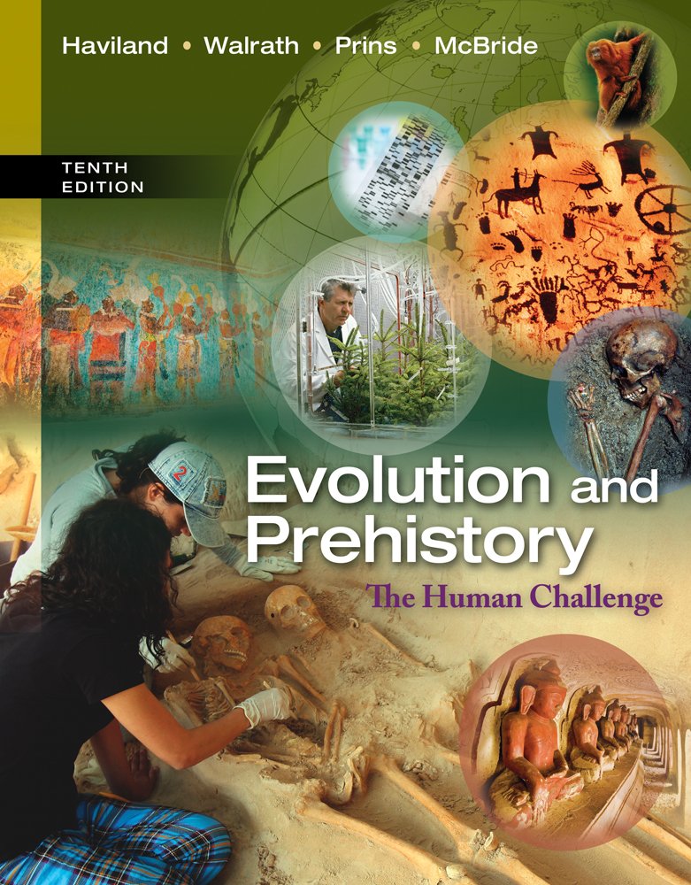 Buy Evolution and Prehistory : The Human Challenge — BookShops.in