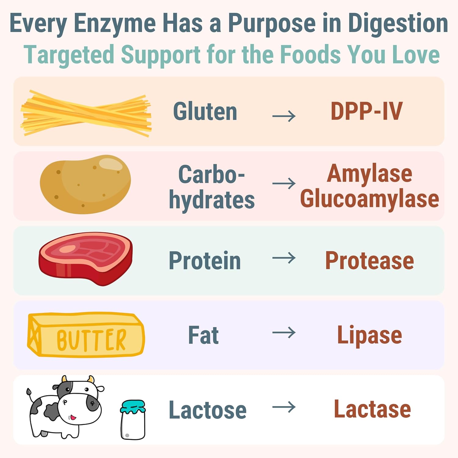 Gluten & Lactase Digestive Enzyme Gummies – Lactase Pancreatic Enzymes with DPP‑IV Lipase Gluco‑Amylase Lactase, Drops Chewables Capsules Pills Powder Supplement Alt, Pancreatic Support, for Kids - Image 4