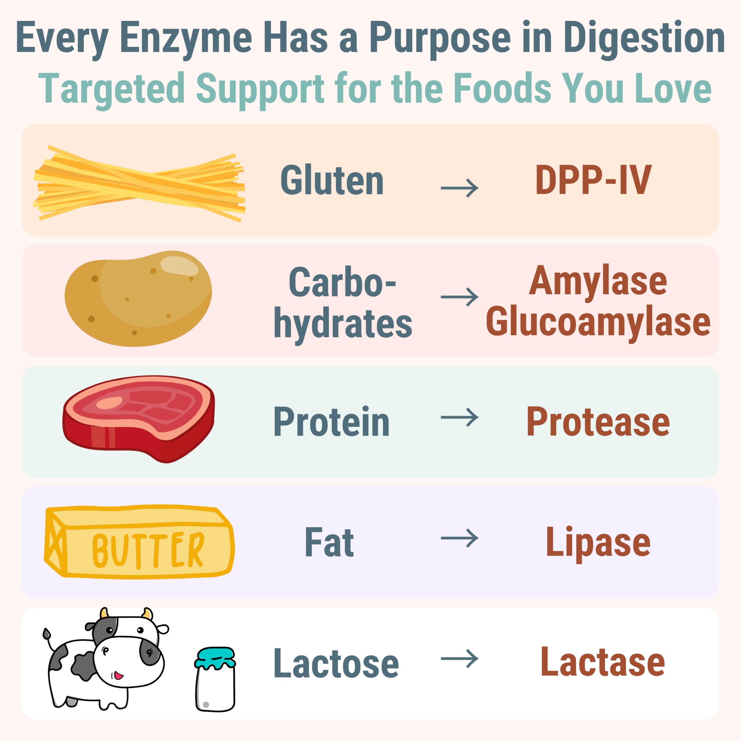 Gluten & Lactase Digestive Enzyme Gummies – Lactase Pancreatic Enzymes with DPP‑IV Lipase Gluco‑Amylase Lactase, Drops Chewables Capsules Pills Powder Supplement Alt, Pancreatic Support, for Kids — Amazon image 4