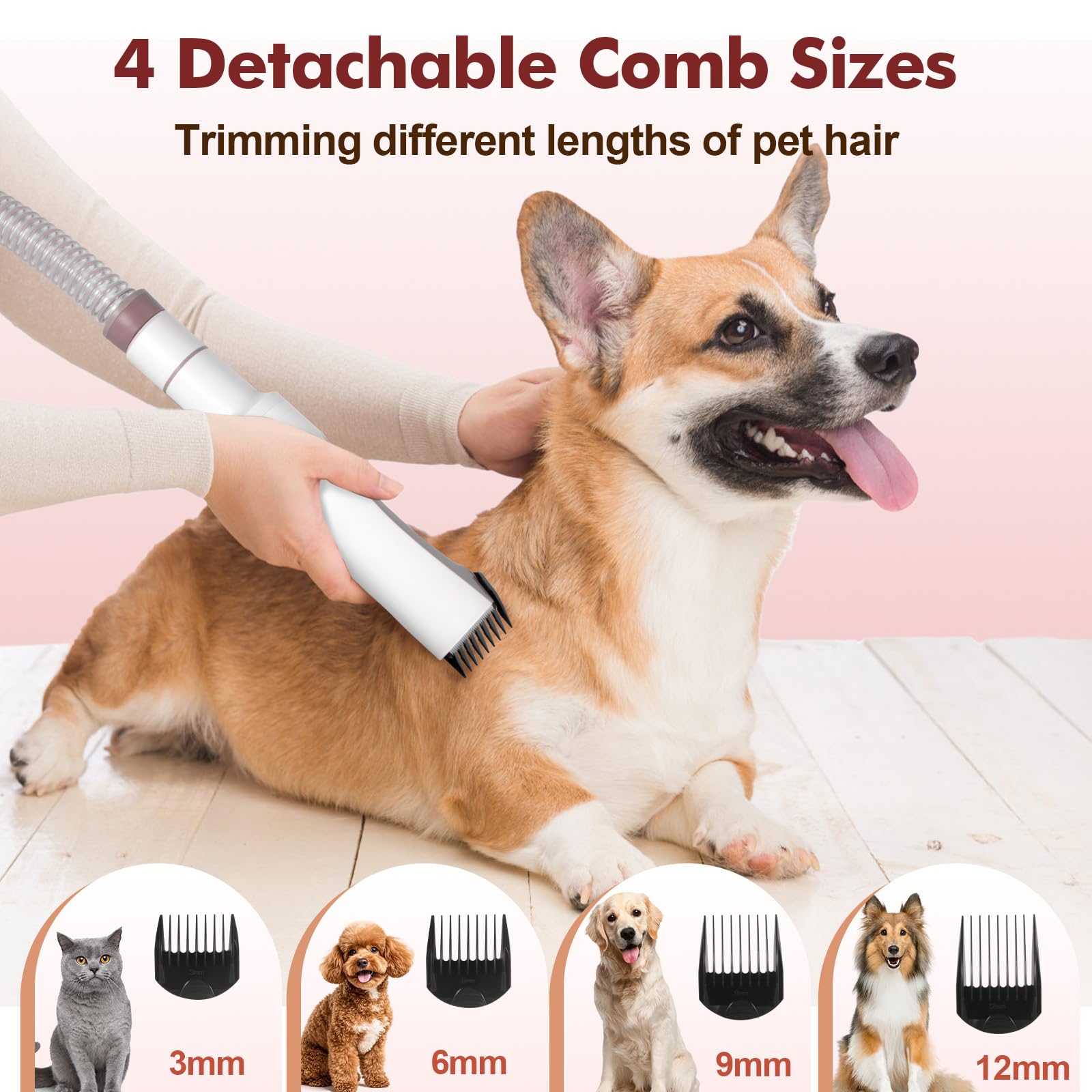 Amazon.co.jp: Crazydeer 犬用グルーミングキット 12,000Pa