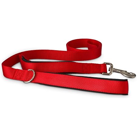 slip leash petco
