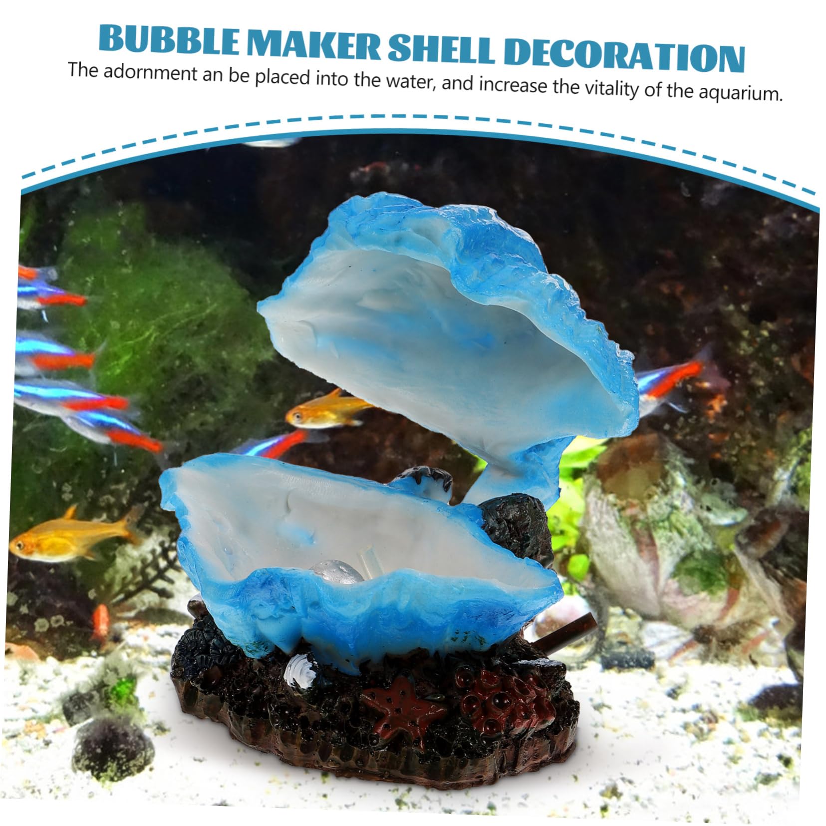BESPORTBLE 5 Stück Aquarium Muschel Meerwassertank Dekoration Betta Aquarium Versteck Blasenherstellung Muschel Landschaftsbau Dekoration Dekoration