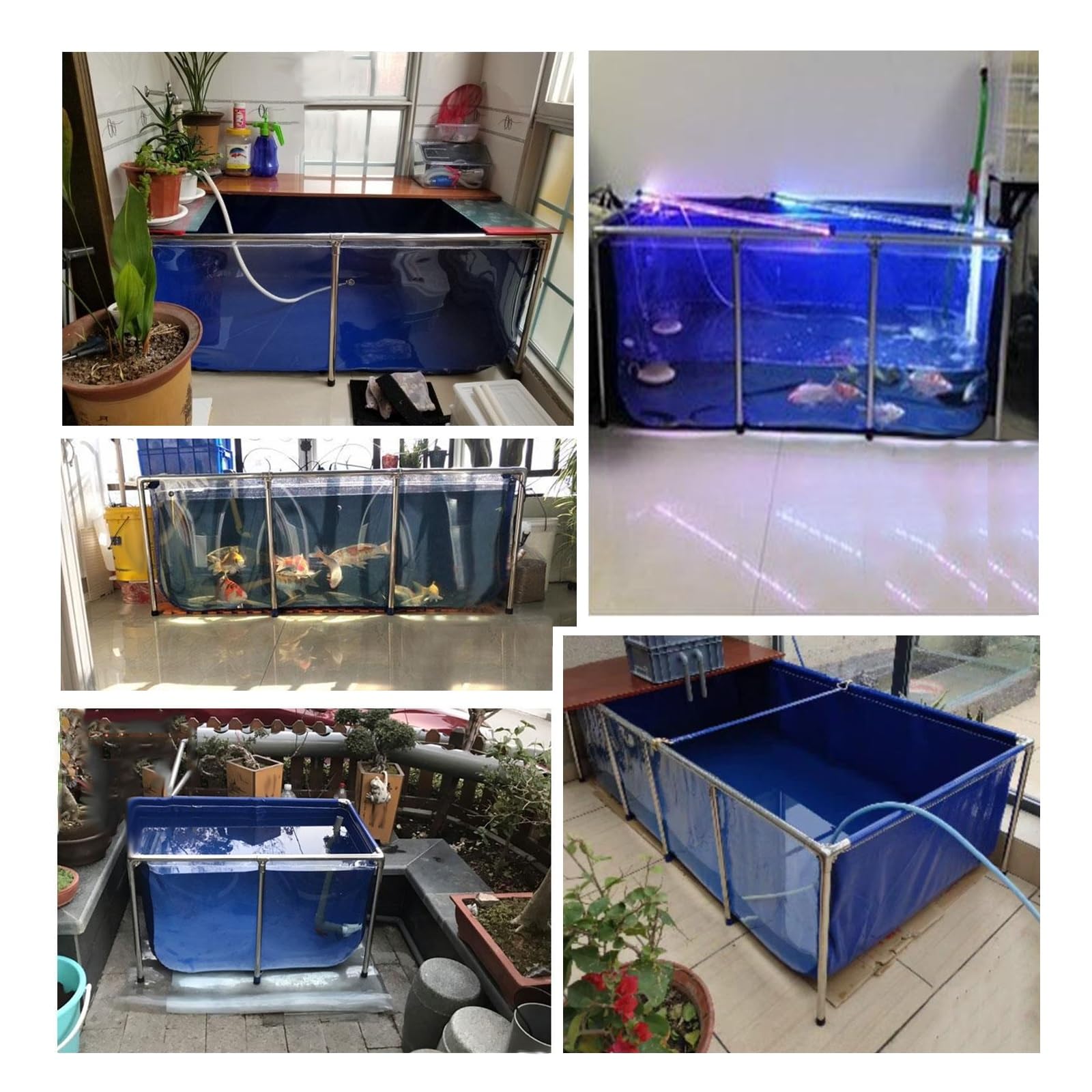 Genérico Acuario de cría de koi - Acuario Grande de Interior con Estructura de Acero y Ventana Transparente, Ideal para estanques de jardín - Lona Independiente de 50 x 40 x 30 cm