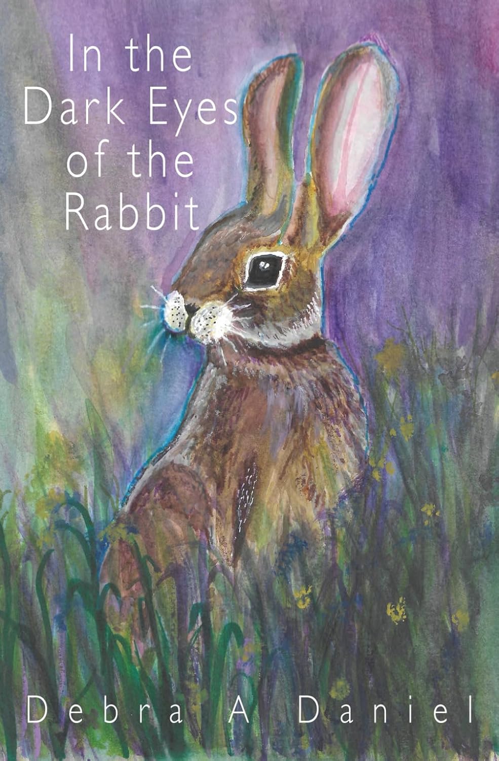 In the Dark Eyes of the Rabbit: Daniel, Debra A: 9781915247704: Amazon ...