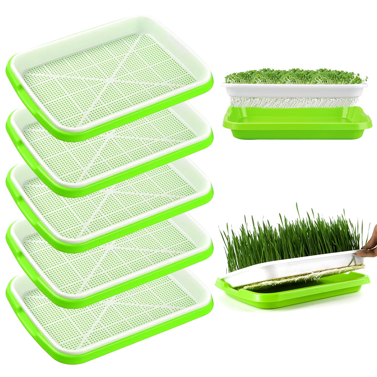 5 Pezzi Vassoi per la Germinazione Dei Semi Germogliatore Per Semi Vassoi per Semi 34X25cm Vassoio di Germinazione di Grande Capacità Propagatore Idroponico Sano Senza BPA