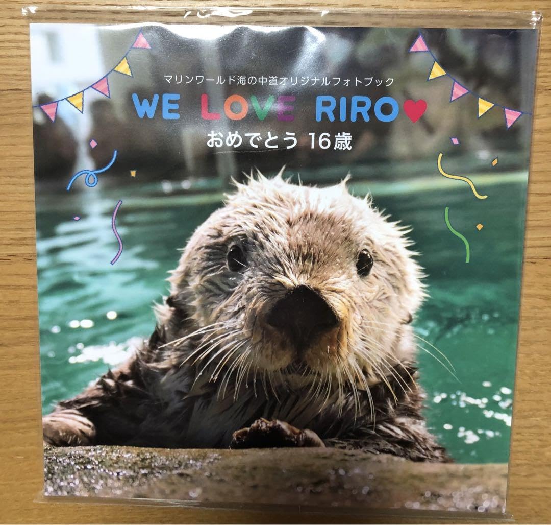 Amazon.co.jp: マリンワールド オリジナルフォトブック リロ ラッコ