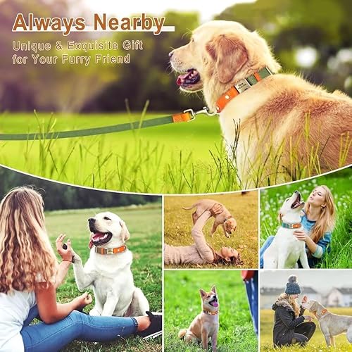 Miniatura 2 de Collares personalizados para perros pequeños, medianos y grandes, collar de perro grabado personalizado con nombre y número, collar de perro de lona