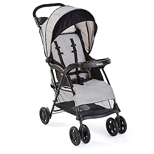 Best Strollers for Grandparents 7 71SlLIB6Q0L. SL300