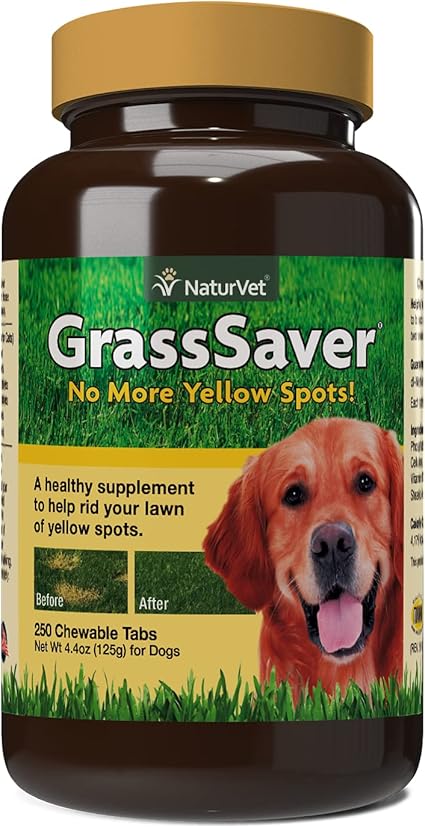 amazon dog pee grass