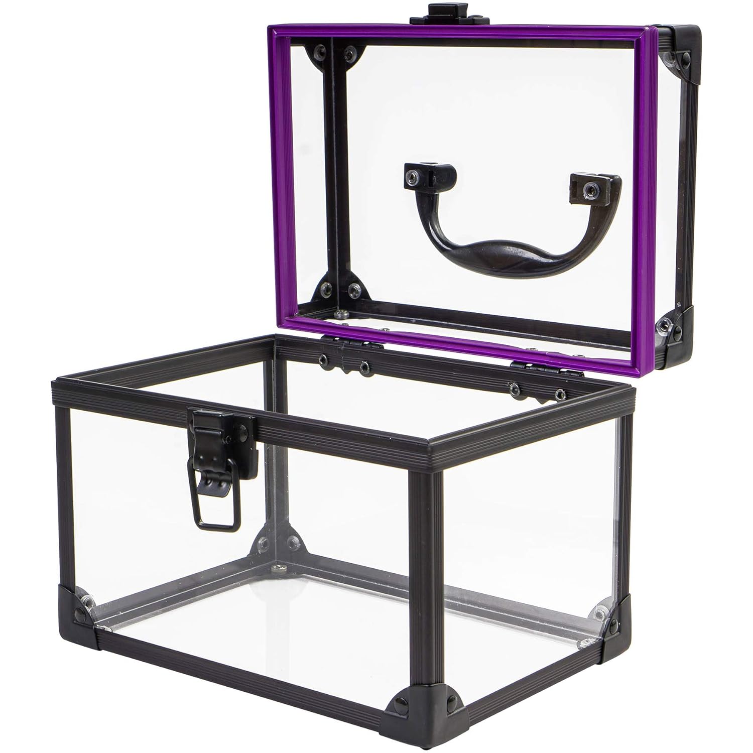 SHANY Clear Cosmetics and Toiletry Train Case - Large-Sized Travel Makeup Organizer with Secure Closure and Black/Purple Accents : SHANY: Beauty & Personal Care