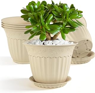 6 Pack 16.5cm Plant Pots, Plastic Planter with Drain Holes and Saucer, Decorative Embossed Flower Pots for Indoor Outdoor House Plants Succulent Orchid Cactus Herb (Beige)