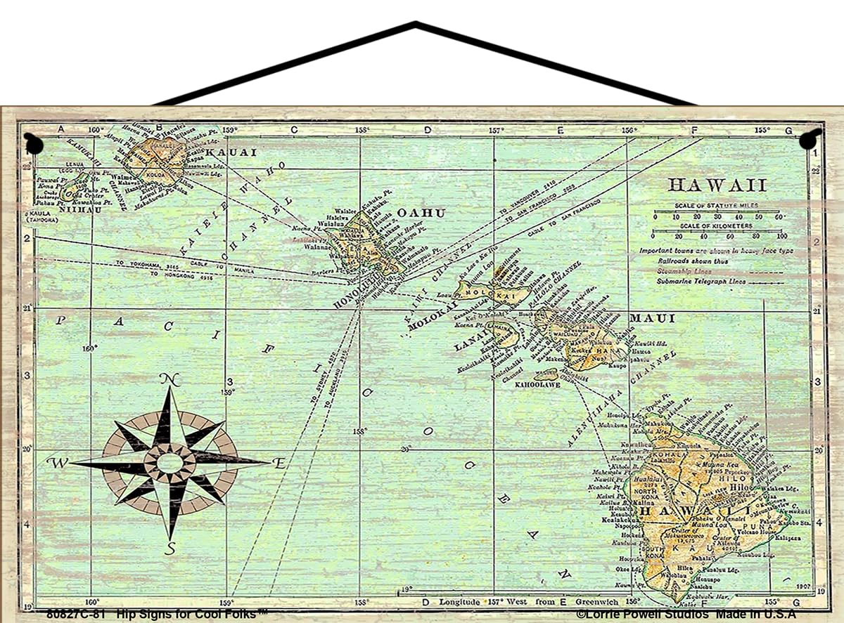 Amazon.com : 5x8 Hawaii Map Sign - Image of a Vintage Map of the