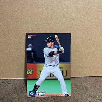 未使用:プロ野球「ブルペンカート☆ラジコン」 Amazon.co.jp: プロ野球チップスカード 王柏融ワンボーロン選手
