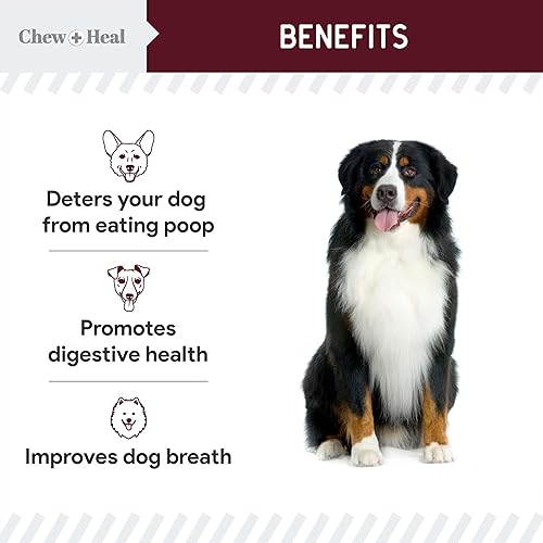 Miniatura 27 de No Poo Chews - Masticables para perros, 120 masticables suaves, sabor a pollo, sin picaduras de caca, tratamiento de coprofagia para perros