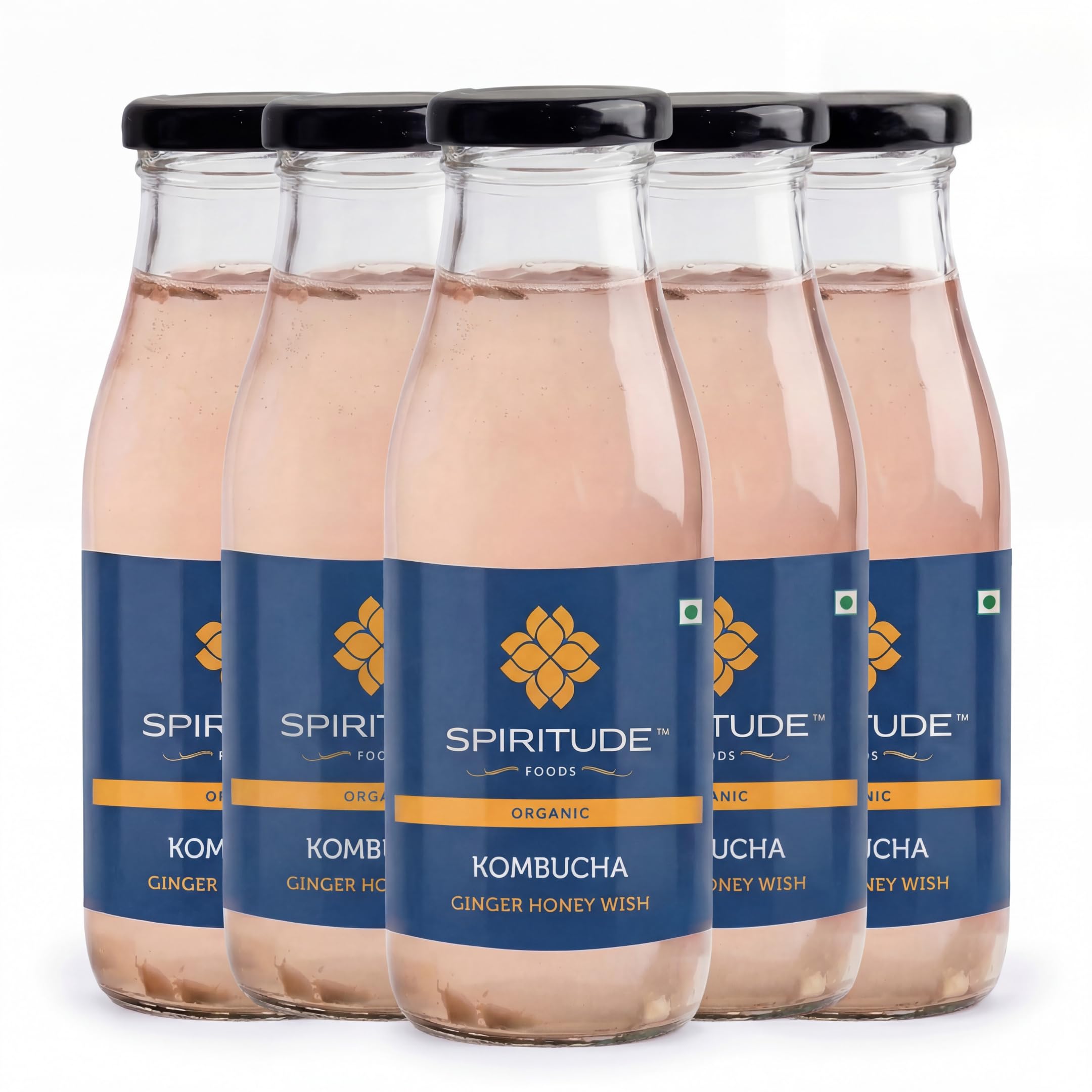 Kombucha Tea Ginger Honey Flavor | SCOBY Fermented Tea Beverage | Ready to Drink Kombucha | 300 ml Each (Pack of 5)
