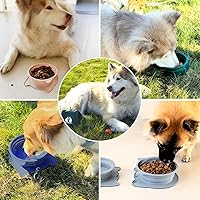 Vista 5 de RUNROLE Cuencos plegables de silicona 2 en 1 para viaje para perros, juego de cuencos de agua y comida para mascotas, cuencos portátiles para Azul