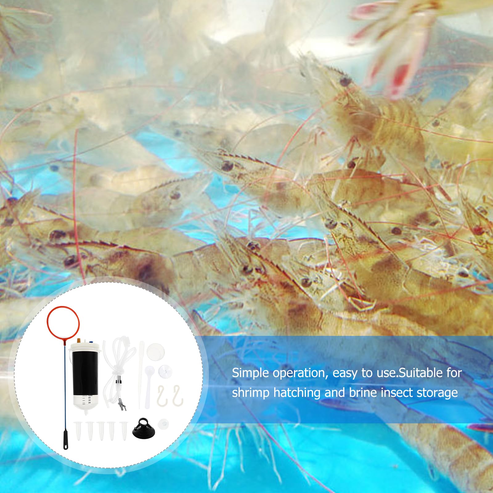 FRCOLOR 2 ensembles d'incubateur Artemia Crevettes Saumure Élevage de crevettes pour poissons Outils Artemia Œufs écloserie Poissons Écloserie Aquarium Plastique Crevettes Œufs