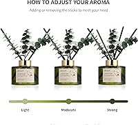 Vista 3 de Airkeep - Juego de difusor de aceite con varillas de junco, 6.76 fl oz, aceite esencial de lavanda y eucalipto, 3 hojas y 8 varillas, decoración
