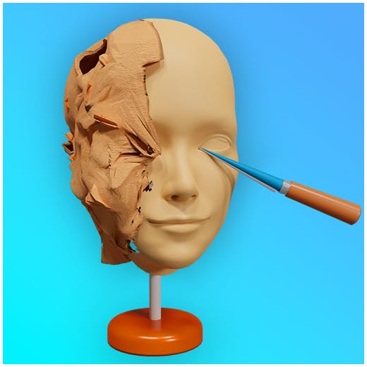 Face Sculpt Art