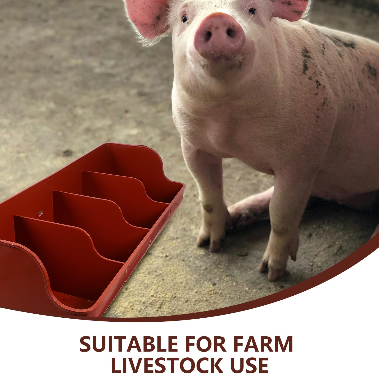 Mangeoire à Cochons à 4 Compartiments, Plastique Résistant à L’usure Chocs, pour Élevage de Ferme, Multi-fentes