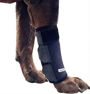 Labra Dog Front Leg Brace - Compression Wrap with Adjustable Straps - Dog Wrist Brace for Support - Leg Sleeve to Stop Licking - Aid in Wound Care and Recovery - Large/Extra Large