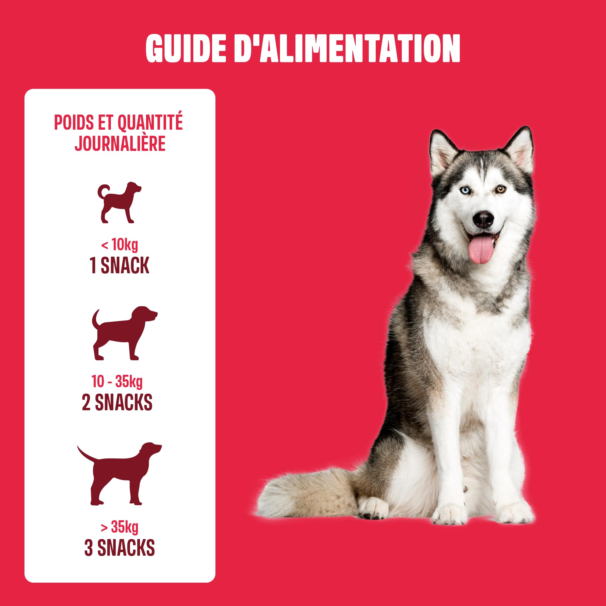 ivvi Allergy Immunity pour chiens – contre les allergies et les démangeaisons et pour renforcer le système immunitaire – 60 délicieuses collations (270 g) au saumon