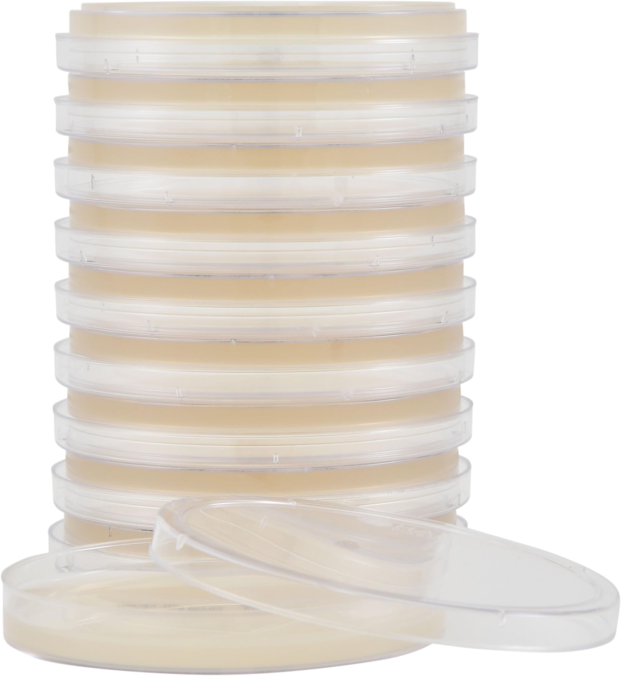 Potato Dextrose Agar with Chlortetracycline, for The Cultivation of Yeasts and Mold, 15x100mm Plate, 26ml Fill, Order by The Package of 10, by Hardy Diagnostics