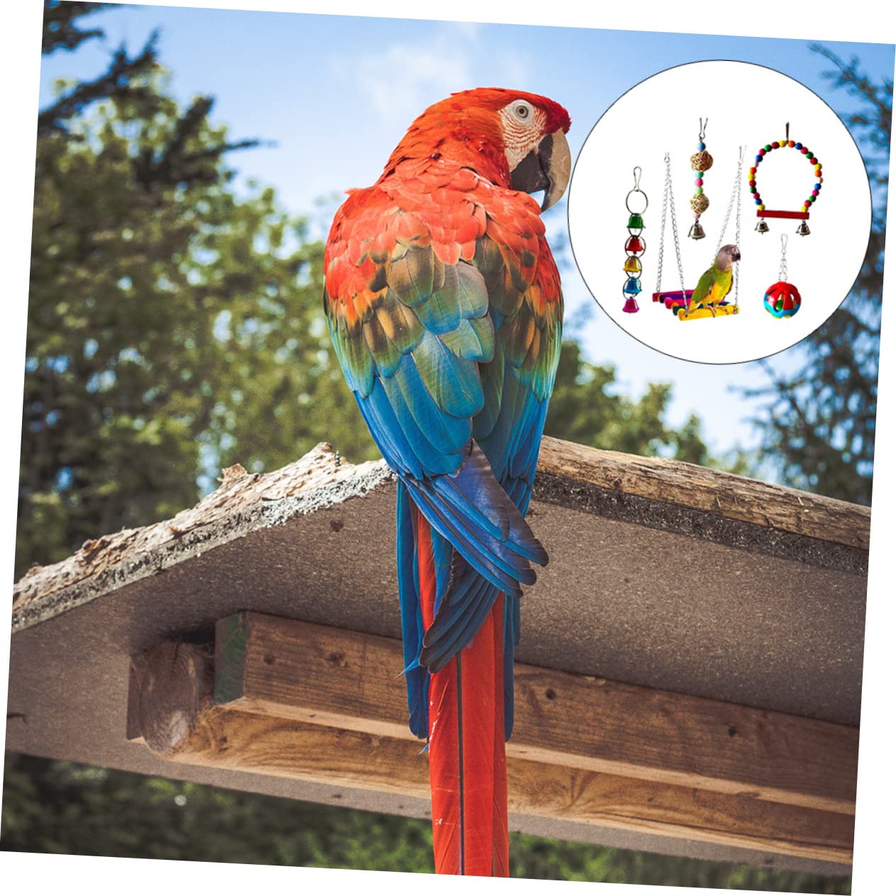 Ensemble De Jouets pour Oiseaux 5 Pièces Jouet À Mâcher pour Perroquet Fournitures pour Animaux De Compagnie pour Le Développement De Lintelligence des Oiseaux