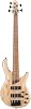 Cort B5 Element OPN -Open Pore Natural 5-String Bass Guitar