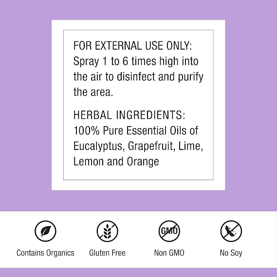 Dr. Schulze's Air Detox - Air Spray for Immune Support - Essential Oils - Uplifting, Calm Atmosphere - Fresh Home - Organic Herbal Formula - 4 oz